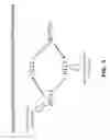 Fig. 10 - Anti-DLL3 antibody drug conjugates and methods of use