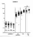 Fig. 06 - ADJUVANTED FORMULATIONS OF STAPHYLOCOCCUS AUREUS  ANTIGENS