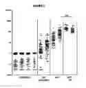 Fig. 07 - ADJUVANTED FORMULATIONS OF STAPHYLOCOCCUS AUREUS  ANTIGENS