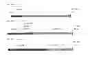 Fig. 19 - Heterologous expression of Neisserial proteins