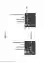 Fig. 13 - MYCOBACTERIAL VACCINE VECTORS AND METHODS OF USING THE SAME