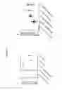 Fig. 16 - MYCOBACTERIAL VACCINE VECTORS AND METHODS OF USING THE SAME