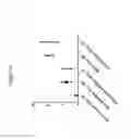 Fig. 17 - MYCOBACTERIAL VACCINE VECTORS AND METHODS OF USING THE SAME