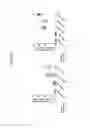 Fig. 24 - MYCOBACTERIAL VACCINE VECTORS AND METHODS OF USING THE SAME