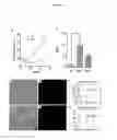 Fig. 03 - AVIAN INDUCED PLURIPOTENT STEM CELLS AND THEIR USE