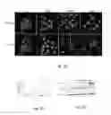 Fig. 05 - METHOD OF INDUCING AUTOPHAGY AND ACTIVATING TOLL-LIKE RECEPTOR