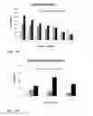 Fig. 05 - METHOD FOR PREPARING SPHEROIDS OF HUMAN PRIMARY HEPATOCYTES