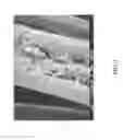 Fig. 04 - Pharmaceutical use of a composition including a carbonaceous material and an active particle