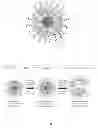 Fig. 03 - Oligomer-contained nanoparticle complex release system