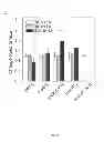Fig. 09 - Oligomer-contained nanoparticle complex release system