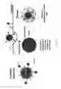 Fig. 03 - NOVEL LIPOSOME COMPOSITIONS