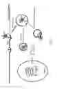 Fig. 04 - NOVEL LIPOSOME COMPOSITIONS