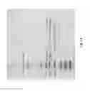 Fig. 30 - NOVEL LIPOSOME COMPOSITIONS