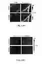 Fig. 23 - Compositions and Methods for Inducing Nanoparticle-mediated Microvascular Embolization of Tumors