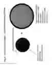 Fig. 03 - Nanocell Drug Delivery System