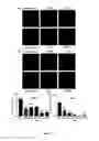 Fig. 14 - Nanocell Drug Delivery System