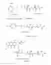 Fig. 15 - Nanocell Drug Delivery System