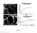 Fig. 16 - Nanocell Drug Delivery System