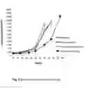 Fig. 04 - USE OF A PARTICULATE IMMUNOMODULATOR IN CANCER THERAPY
