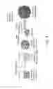 Fig. 04 - Core-shell particle formulation for delivering multiple therapeutic agents