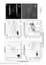 Fig. 08 - Core-shell particle formulation for delivering multiple therapeutic agents