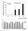 Fig. 03 - COMPOSITION COMPRISING THE EXTRACT OF PINE TREE LEAF OR THE COMPOUNDS ISOLATED THEREFROM FOR THE PREVENTION AND TREATMENT OF CANCER DISEASE BY INHIBITING HPV VIRUS AND THE USES THEREBY
