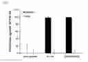 Fig. 04 - COMPOSITION COMPRISING THE EXTRACT OF PINE TREE LEAF OR THE COMPOUNDS ISOLATED THEREFROM FOR THE PREVENTION AND TREATMENT OF CANCER DISEASE BY INHIBITING HPV VIRUS AND THE USES THEREBY