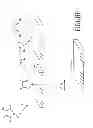 Fig. 02 - Methods for the deposition of manganese-containing films using diazabutadiene-based precursors