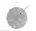 Fig. 05 - Inflatable fabric decoration