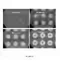 Fig. 04 - COMPRESSION, EXTRUSION AND INJECTION MOLDING OF INTERLOCKING DRY ADHESIVE MICROSTRUCTURES WITH FLEXIBLE MOLD TECHNOLOGY