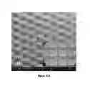 Fig. 35 - COMPRESSION, EXTRUSION AND INJECTION MOLDING OF INTERLOCKING DRY ADHESIVE MICROSTRUCTURES WITH FLEXIBLE MOLD TECHNOLOGY