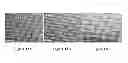 Fig. 44 - COMPRESSION, EXTRUSION AND INJECTION MOLDING OF INTERLOCKING DRY ADHESIVE MICROSTRUCTURES WITH FLEXIBLE MOLD TECHNOLOGY