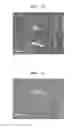 Fig. 06 - Surface modification using functional carbon nanotubes