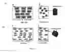 Fig. 13 - Pervious composite materials, methods of production and uses thereof