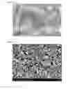 Fig. 02 - Phosphorus-doped nickel nanoparticle and method of manufacturing the same