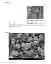 Fig. 05 - Phosphorus-doped nickel nanoparticle and method of manufacturing the same