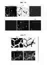 Fig. 07 - DEGRADABLE COMPOSITIONS, APPARATUS COMPRISING SAME, AND METHODS OF USE