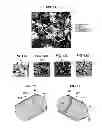 Fig. 08 - DEGRADABLE COMPOSITIONS, APPARATUS COMPRISING SAME, AND METHODS OF USE