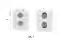 Fig. 08 - Solid state energy storage devices