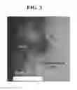 Fig. 03 - ELECTRODE ACTIVE MATERIAL FOR LITHIUM SECONDARY BATTERY AND PREPARATION THEREOF