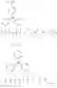 Fig. 170 - PATTERN FORMING METHOD, ACTINIC RAY-SENSITIVE OR RADIATION-SENSITIVE RESIN COMPOSITION, RESIST FILM, MANUFACTURING METHOD OF ELECTRONIC DEVICE USING THE SAME AND ELECTRONIC DEVICE