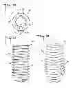 Fig. 06 - Expandable dental implant and method of use