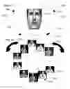 Fig. 35 - Method and system for quantitative assessment of word recognition sensitivity