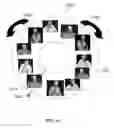 Fig. 37 - Method and system for quantitative assessment of word recognition sensitivity