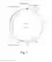 Fig. 02 - Method for detection of high risk human papillomavirus