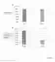 Fig. 07 - Methods and kits for detection of methylation status