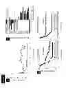 Fig. 02 - METHODS FOR PREDICTION OF CLINICAL RESPONSE TO RADIATION THERAPY IN CANCER PATIENTS