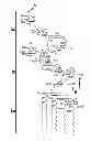Fig. 01 - Method for specifically labeling living bacteria