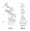 Fig. 02 - Method for specifically labeling living bacteria