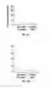 Fig. 06 - EGFR and PAR2 Regulation of Intestinal Permeability